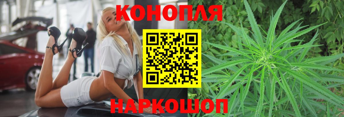 Бошки Шишки сатива Зеленогорск